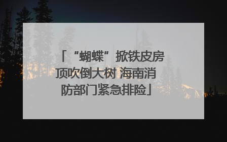 “蝴蝶”掀铁皮房顶吹倒大树 海南消防部门紧急排险